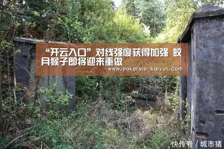 “开云入口”对线强度获得加强 皎月猴子即将迎来重做(图4) 开云入口