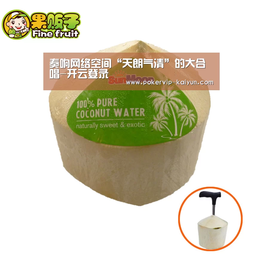 奏响网络空间“天朗气清”的大合唱-开云登录(图2) 开云入口