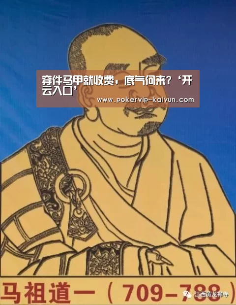 穿件马甲就收费,底气何来?‘开云入口’(图1) 开云篮球
