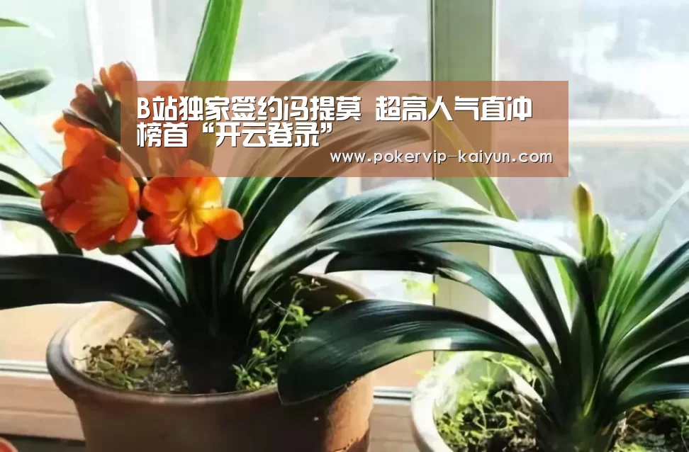 B站独家签约冯提莫 超高人气直冲榜首“开云登录”(图3) 开云登录